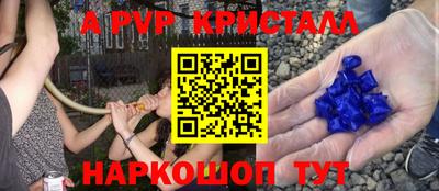 крисы Донской