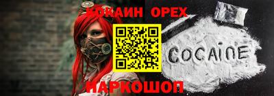 крисы Донской