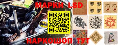 a pvp Дубна