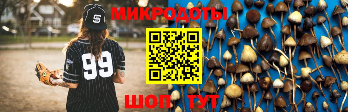 Псилоцибиновые грибы ЛСД Балтийск